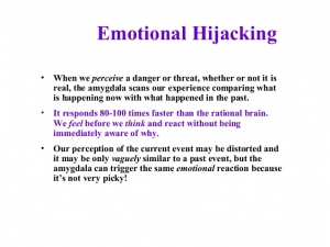 emotional-intelligence-27-638